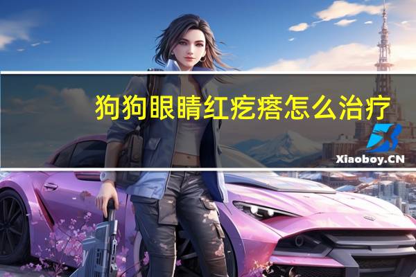 狗狗眼睛红疙瘩怎么治疗