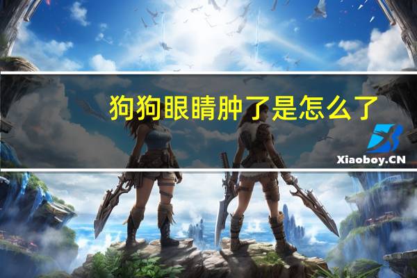 狗狗眼睛肿了是怎么了