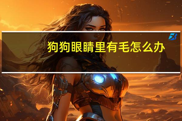 狗狗眼睛里有毛怎么办