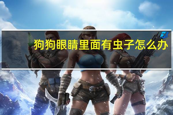 狗狗眼睛里面有虫子怎么办