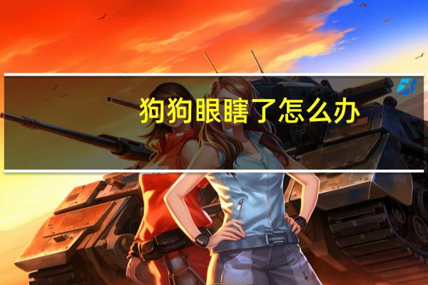 狗狗眼瞎了怎么办