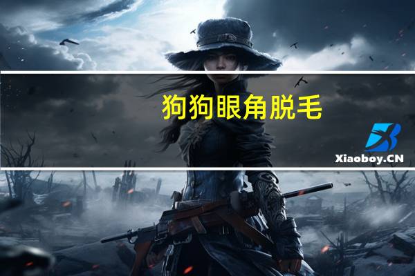 狗狗眼角脱毛