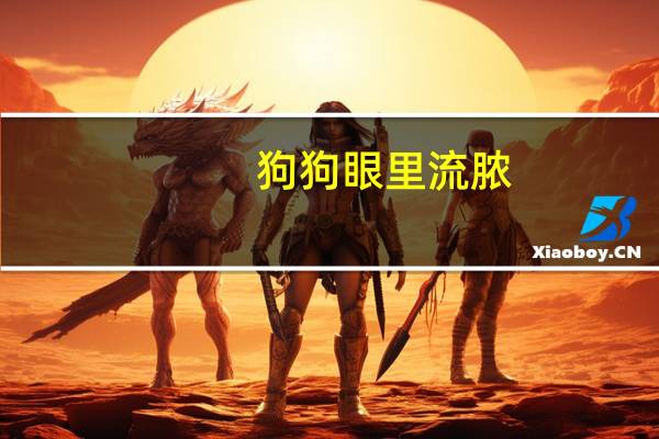 狗狗眼里流脓