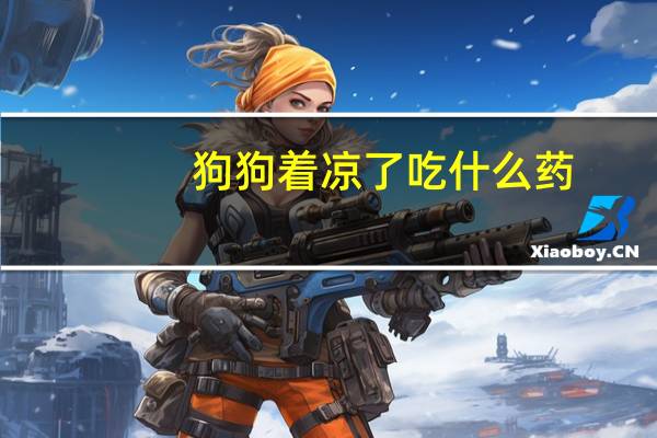 狗狗着凉了吃什么药