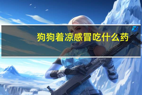 狗狗着凉感冒吃什么药