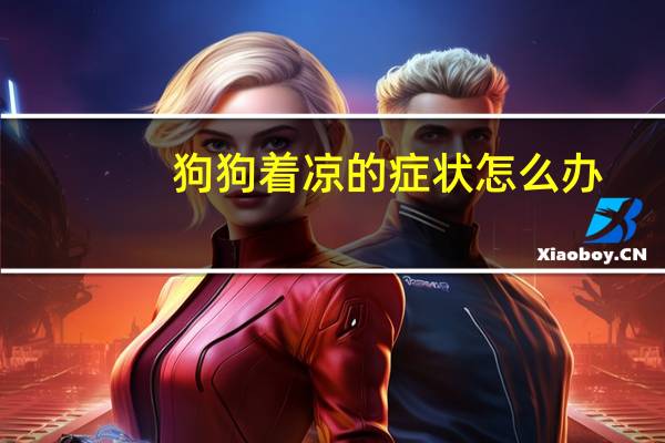 狗狗着凉的症状怎么办