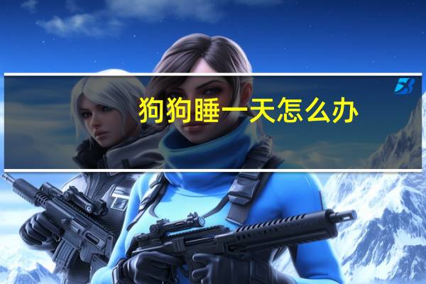 狗狗睡一天怎么办