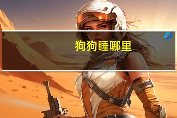 狗狗睡哪里