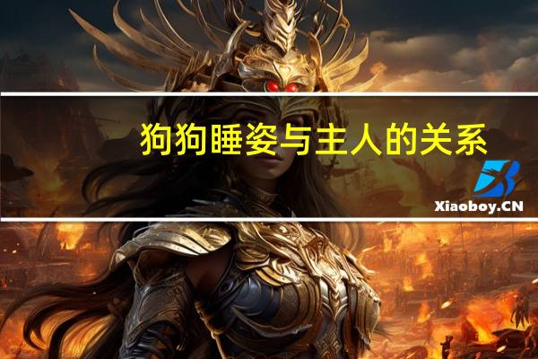 狗狗睡姿与主人的关系