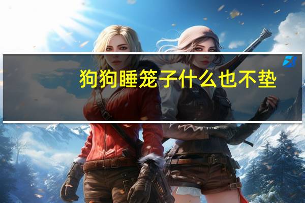 狗狗睡笼子什么也不垫