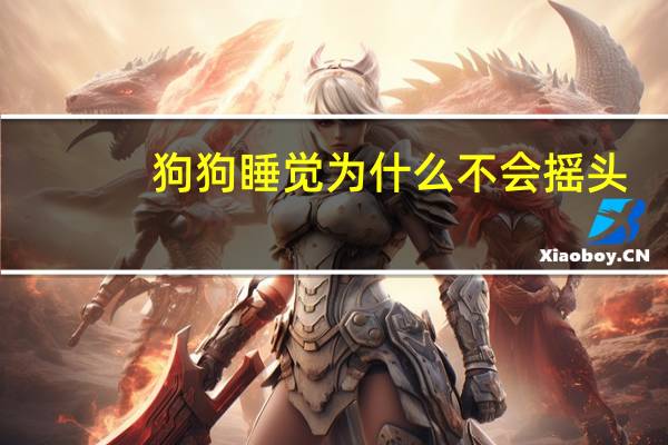 狗狗睡觉为什么不会摇头