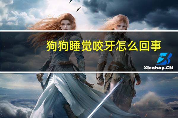 狗狗睡觉咬牙怎么回事