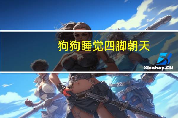 狗狗睡觉四脚朝天