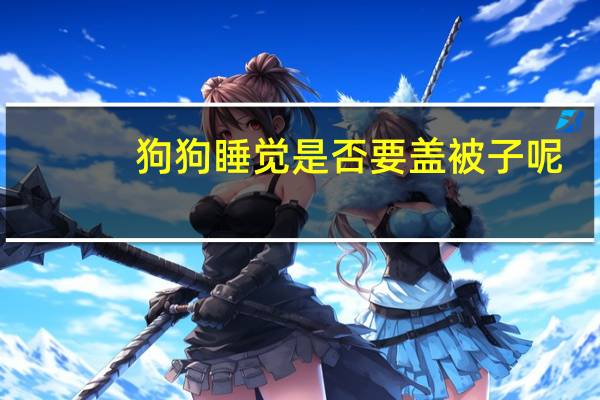 狗狗睡觉是否要盖被子呢