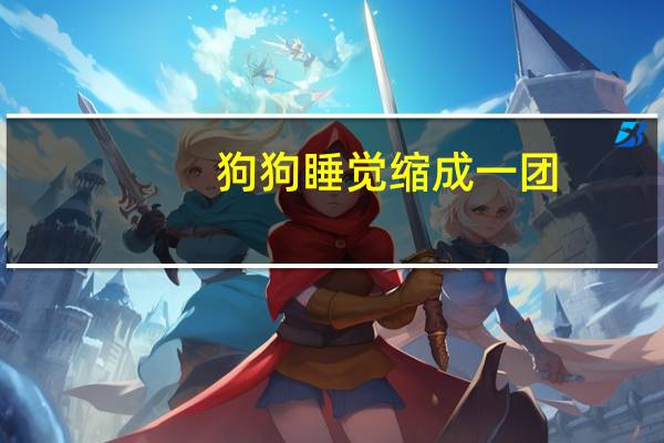 狗狗睡觉缩成一团