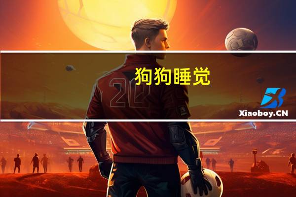 狗狗睡觉