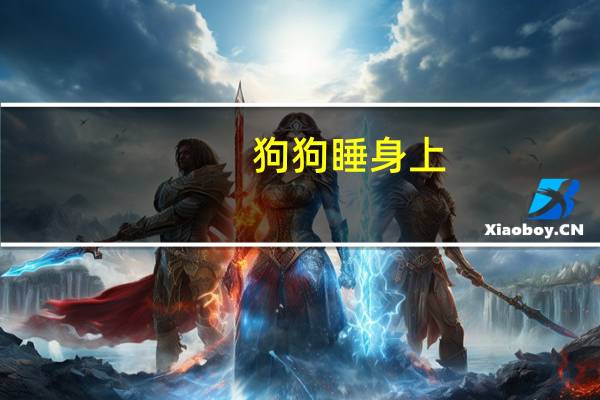 狗狗睡身上