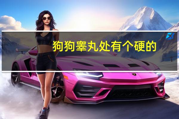 狗狗睾丸处有个硬的