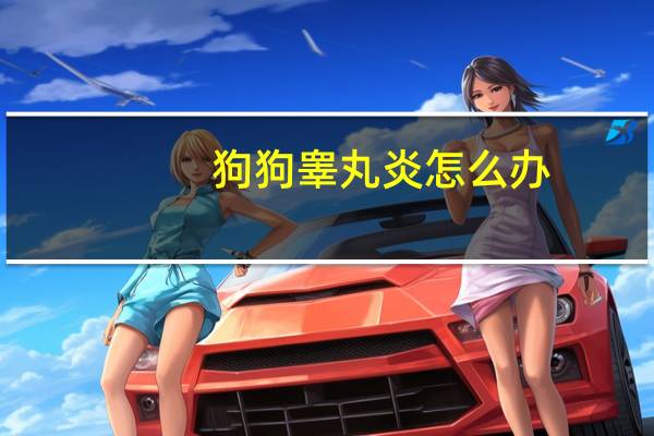 狗狗睾丸炎怎么办