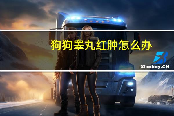 狗狗睾丸红肿怎么办