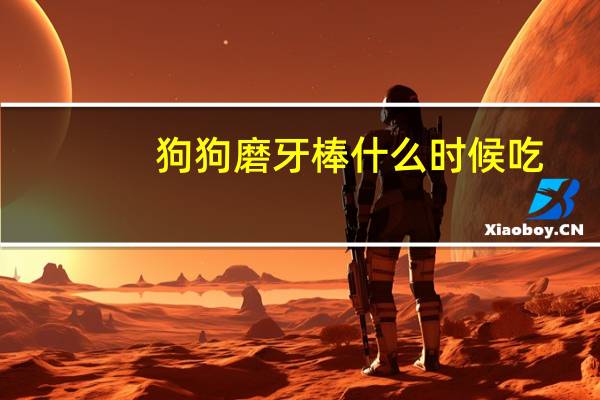 狗狗磨牙棒什么时候吃