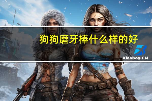 狗狗磨牙棒什么样的好