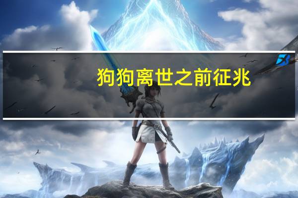 狗狗离世之前征兆