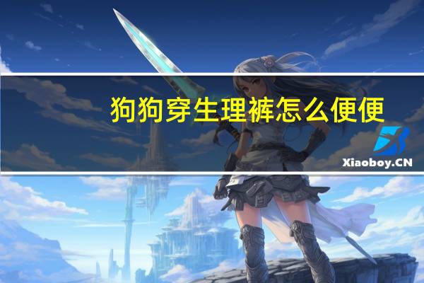 狗狗穿生理裤怎么便便