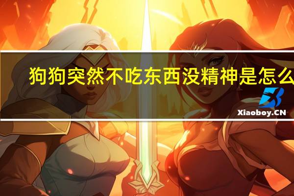 狗狗突然不吃东西没精神是怎么了
