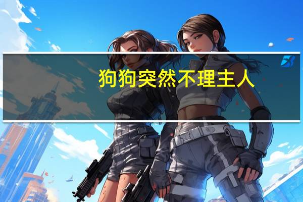 狗狗突然不理主人