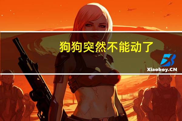 狗狗突然不能动了