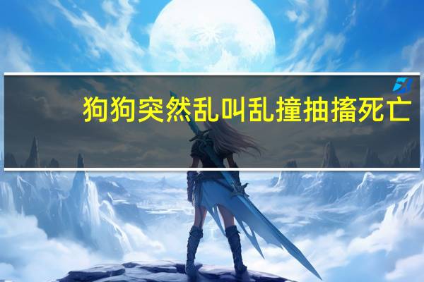 狗狗突然乱叫乱撞抽搐死亡