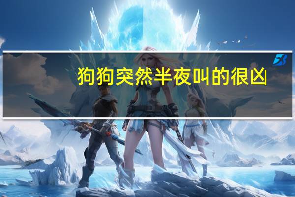 狗狗突然半夜叫的很凶