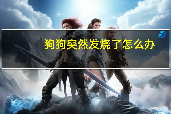 狗狗突然发烧了怎么办