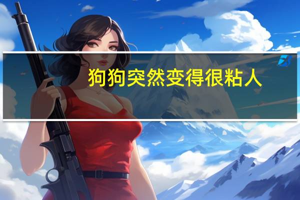 狗狗突然变得很粘人