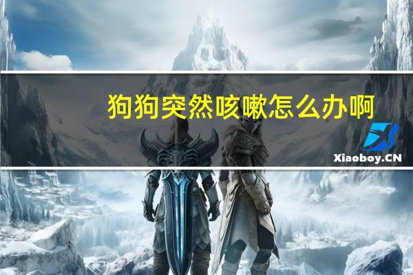 狗狗突然咳嗽怎么办啊