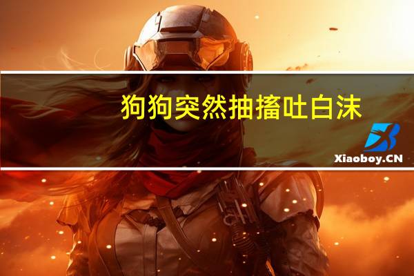 狗狗突然抽搐吐白沫