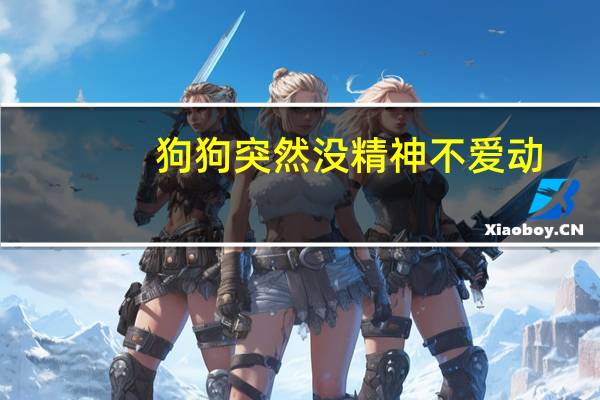 狗狗突然没精神不爱动