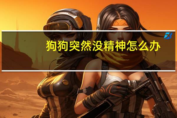 狗狗突然没精神怎么办