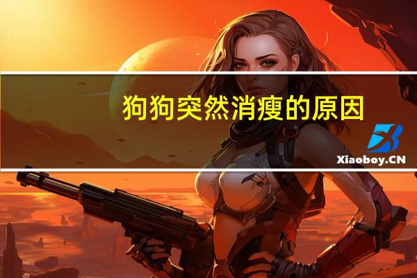 狗狗突然消瘦的原因
