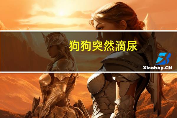 狗狗突然滴尿