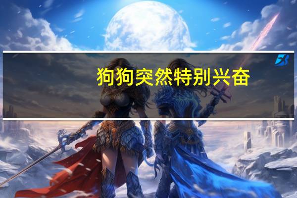 狗狗突然特别兴奋