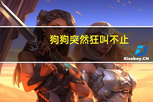 狗狗突然狂叫不止