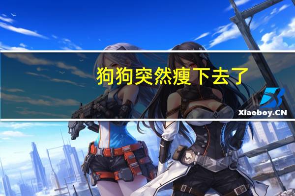 狗狗突然瘦下去了