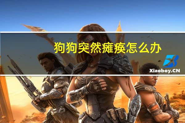 狗狗突然瘫痪怎么办