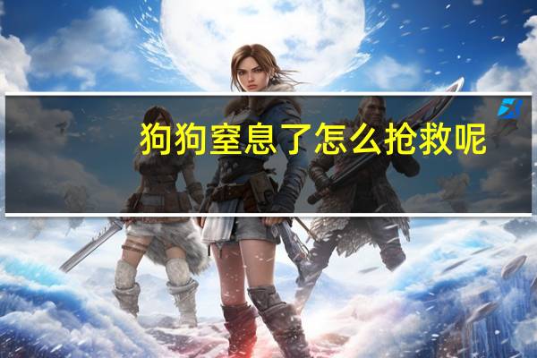 狗狗窒息了怎么抢救呢