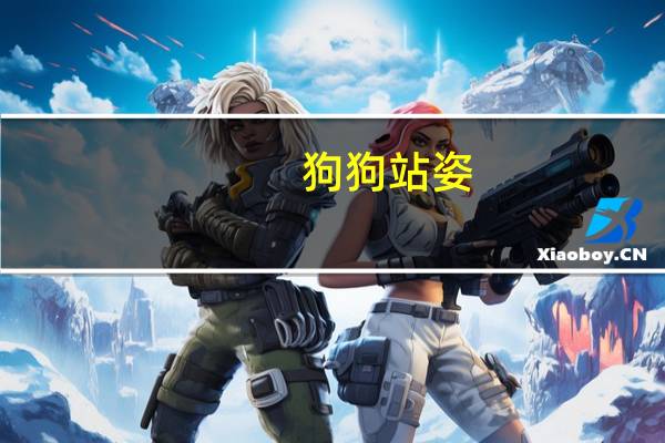 狗狗站姿