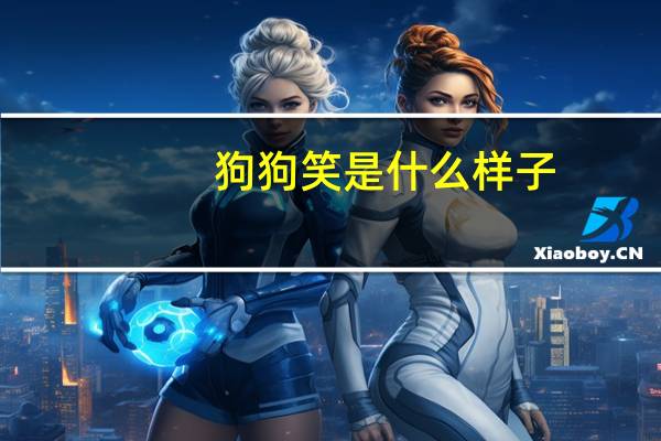 狗狗笑是什么样子