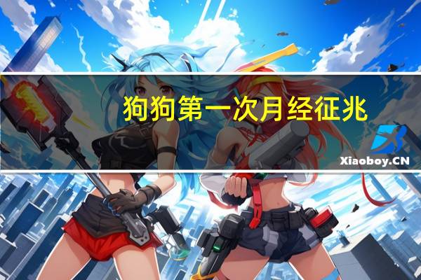狗狗第一次月经征兆