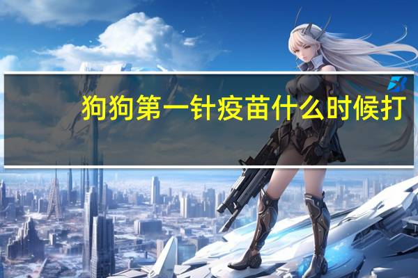 狗狗第一针疫苗什么时候打